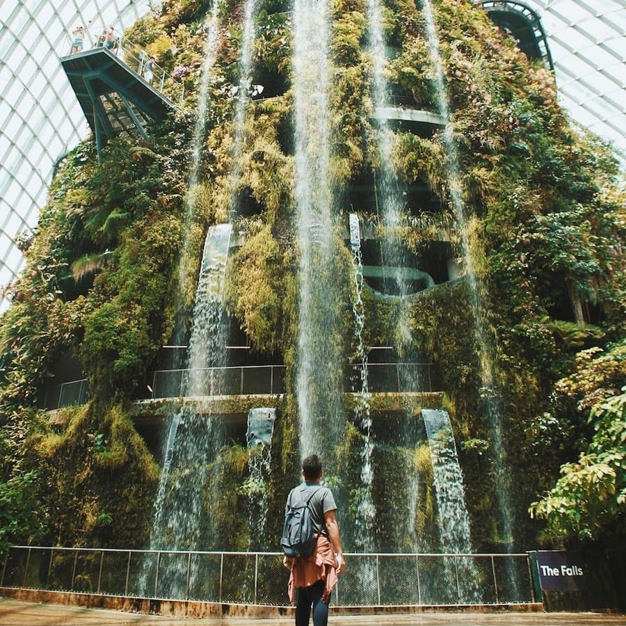 đến cloud forest trong chuyến du lịch singapore 3 ngày 2 đêm