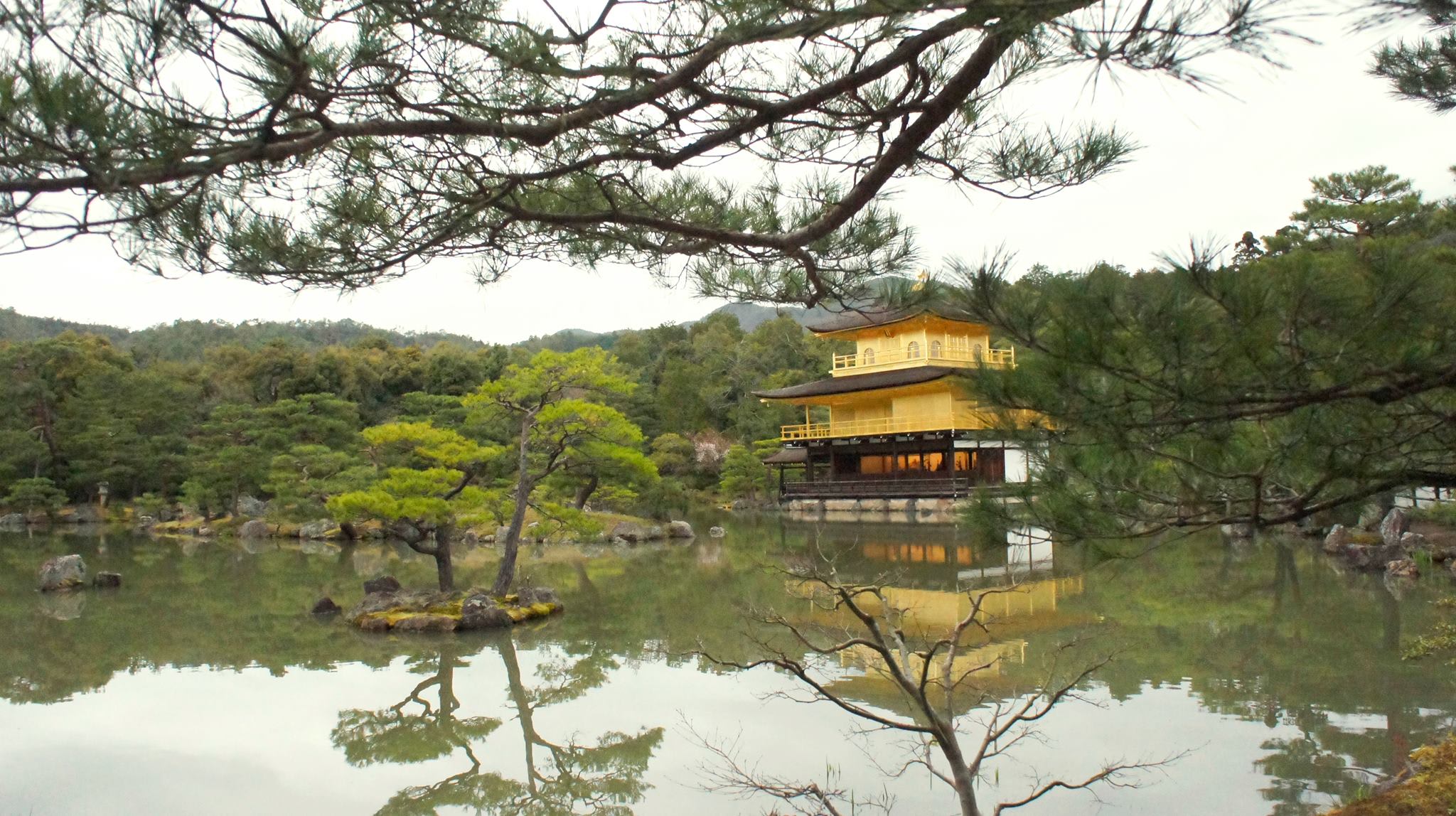 kinkakuji là địa điểm đáng đến trong chuyến ngắm hoa anh đào
