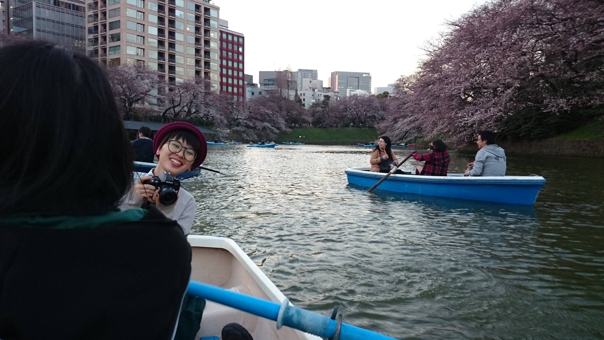 ngắm hoa anh đào tại công viên chidorigafuchi