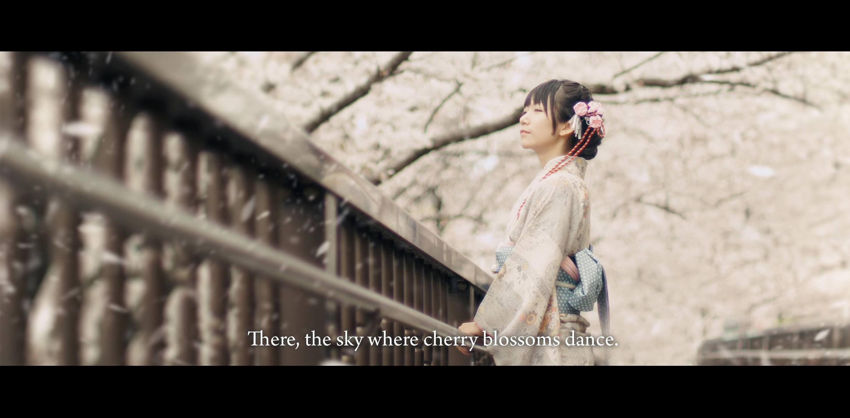 mặc kimono ngắm hoa anh đào
