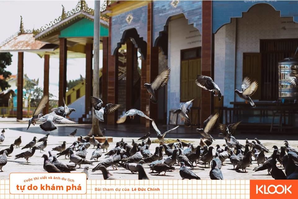 Có một INLE thanh bình như thế 19 sân chim bồ câu ở chùa mèo trong chuyến du lịch inle