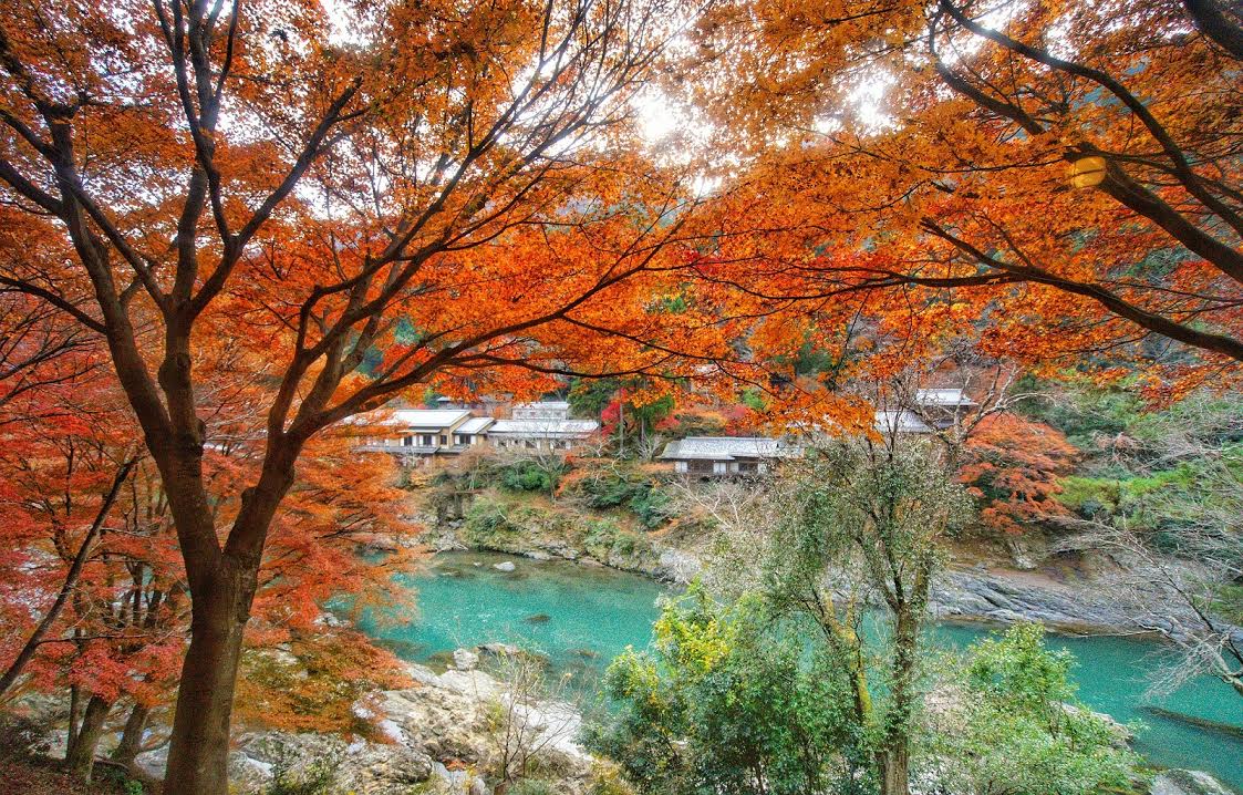 Lịch trình săn lá đỏ ở Kyoto Nhật Bản 4 ngày 3 đêm 13 ngắm lá đỏ ở arashimaya trong lịch trình ngắm mùa thu ở kyoto