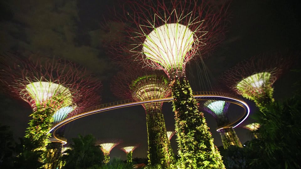 trải nghiệm singapore 4 ngày 3 đêm: gardens by the bay