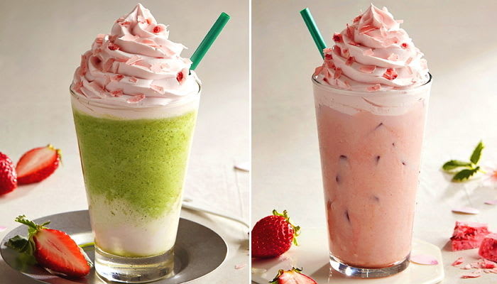 thưởng thức những sản phẩm hoa anh đào ở hàn quốc tại starbucks
