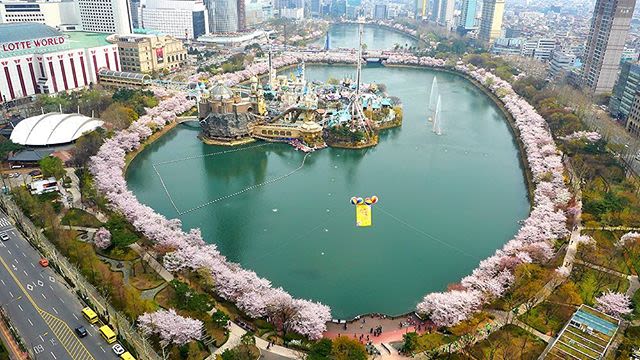 20 địa điểm ngắm hoa anh đào cho team sống ảo 25 hồ seokcheon là một địa điểm ngắm hoa anh đào