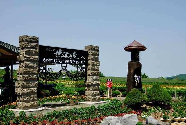 ghé đồi shikisai trong lịch trình du lịch sapporo bằng JR Pass