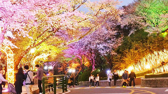 Bí kíp phá đảo công viên Namsan, khám phá tháp N Seoul 18 tháp N Seoul vào buổi chiều