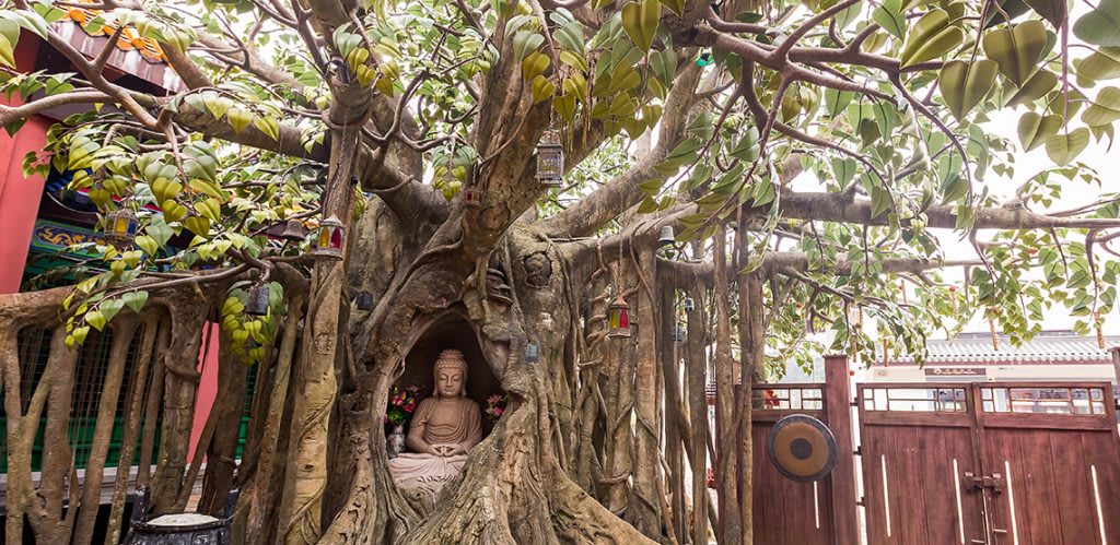 Du lịch tự túc Hồng Kông: trọn ngày khám phá cáp treo Ngong Ping 360 và đảo Lantau 7 làng văn hóa ngong ping là nơi đến đầu tiên của hành trình khám phá ngong ping 360