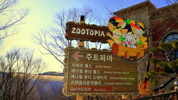 Bí kíp chinh phục Everland – công viên chủ đề lớn nhất Hàn Quốc 19 Zootopia Everland