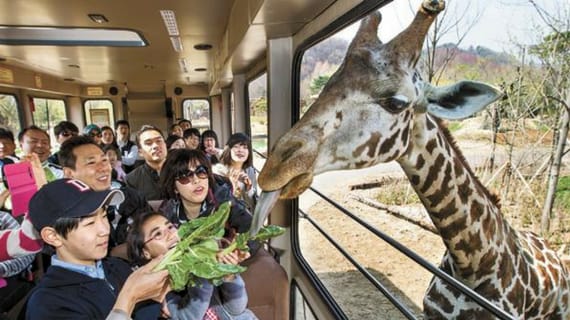 Bí kíp chinh phục Everland – công viên chủ đề lớn nhất Hàn Quốc 20 Lost Valley Everland