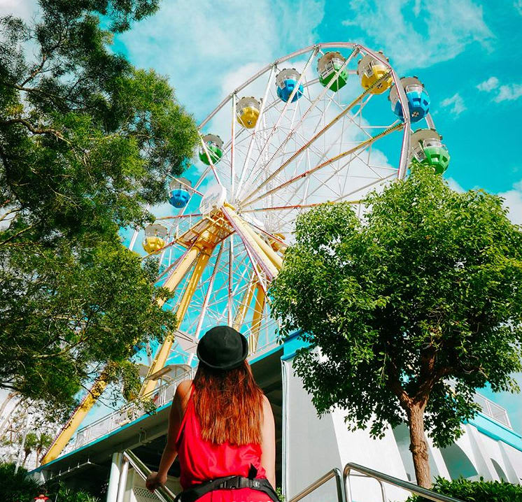 Tất tần tật bí kíp du lịch Hong Kong & Macau trong 5 ngày 4 đêm 26 vòng đu quay tại công viên ocean park