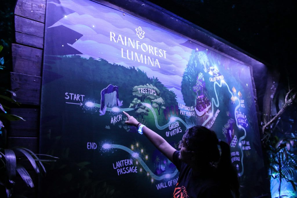 Hè đi Singapore Zoo, check-in ngàn like tại rừng mưa ánh sáng 2 bản đồ rừng mưa ánh sáng tại singapore zoo