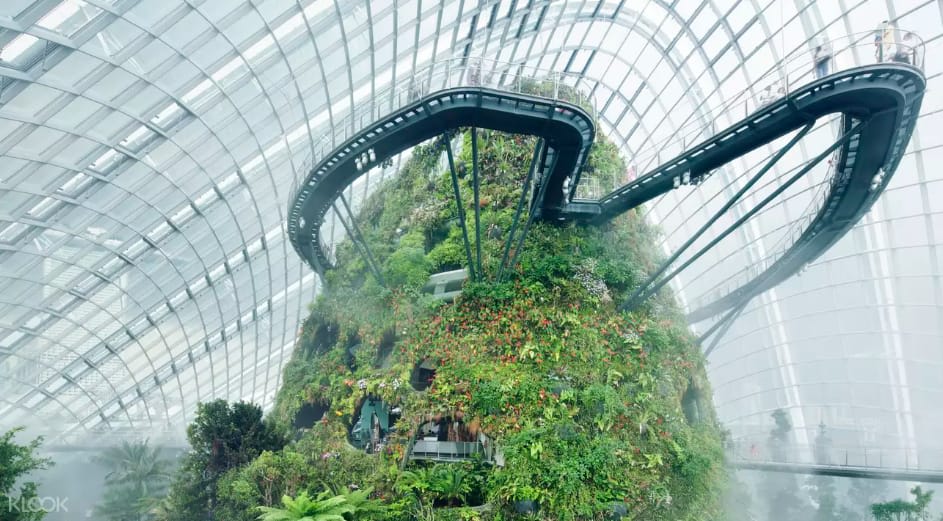 Nghỉ lễ Quốc Khánh 3 ngày, cả gia đình nên đi đâu du lịch tự túc? 8 khu vực cloud forest tại gardens by the bay singapore