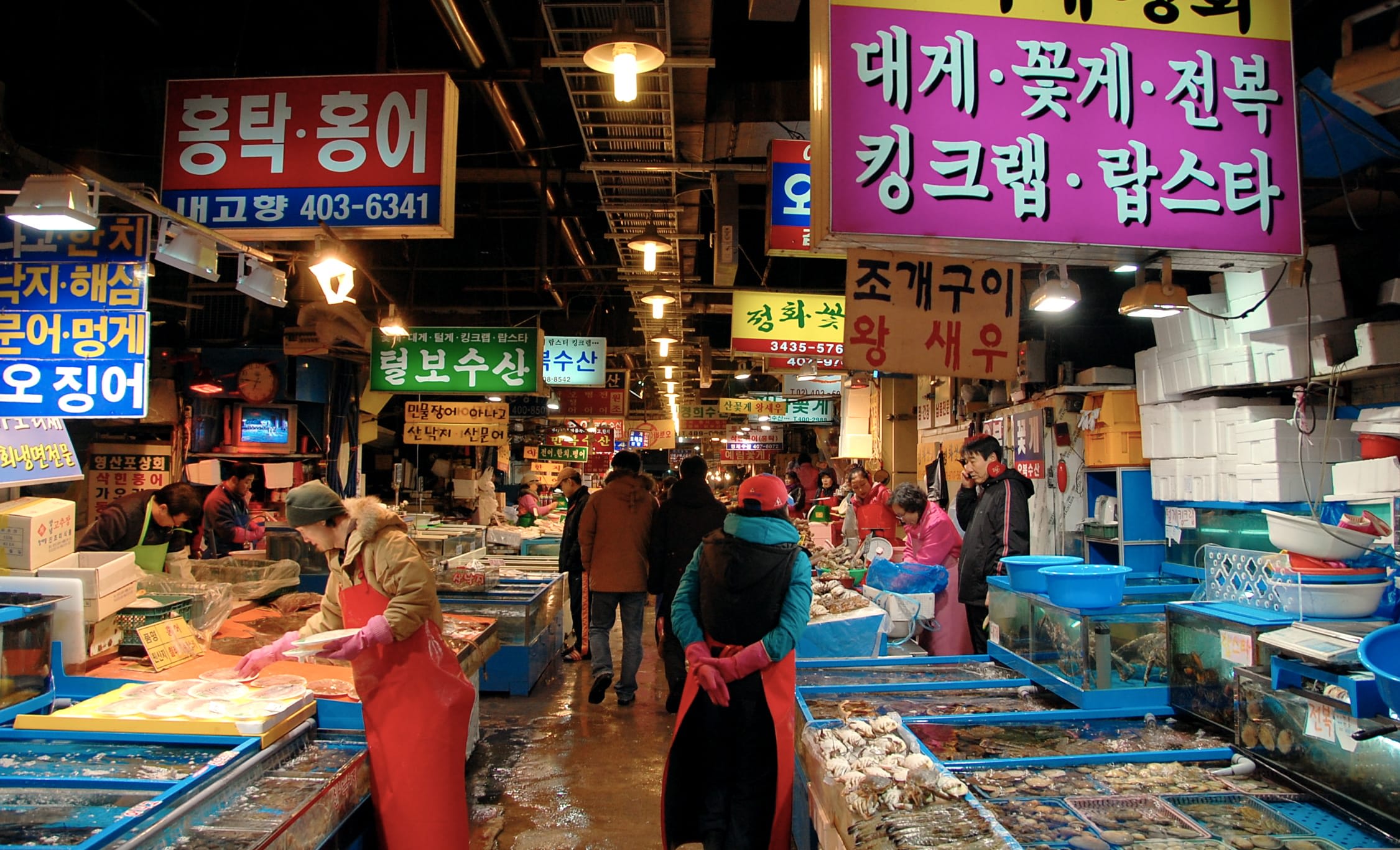 Hướng dẫn vi vu khắp Seoul chỉ với chưa đến 50K 7 bên trong chợ cá garak