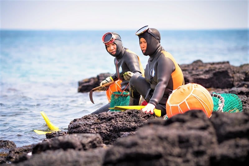 Nên mua gì về làm quà tặng khi đi du lịch Jeju? 12 nữ thợ lặn ở jeju