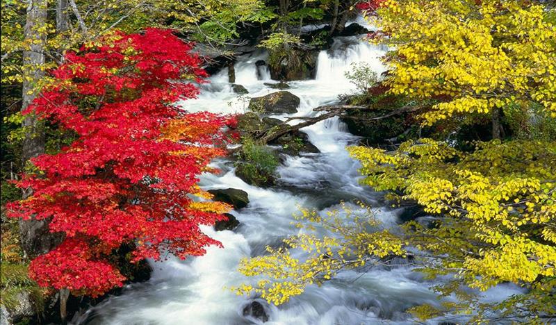 Hướng dẫn chi tiết đi chiêm ngưỡng lá phong Hokkaido 9 lá thu đỏ ở hồ Akan