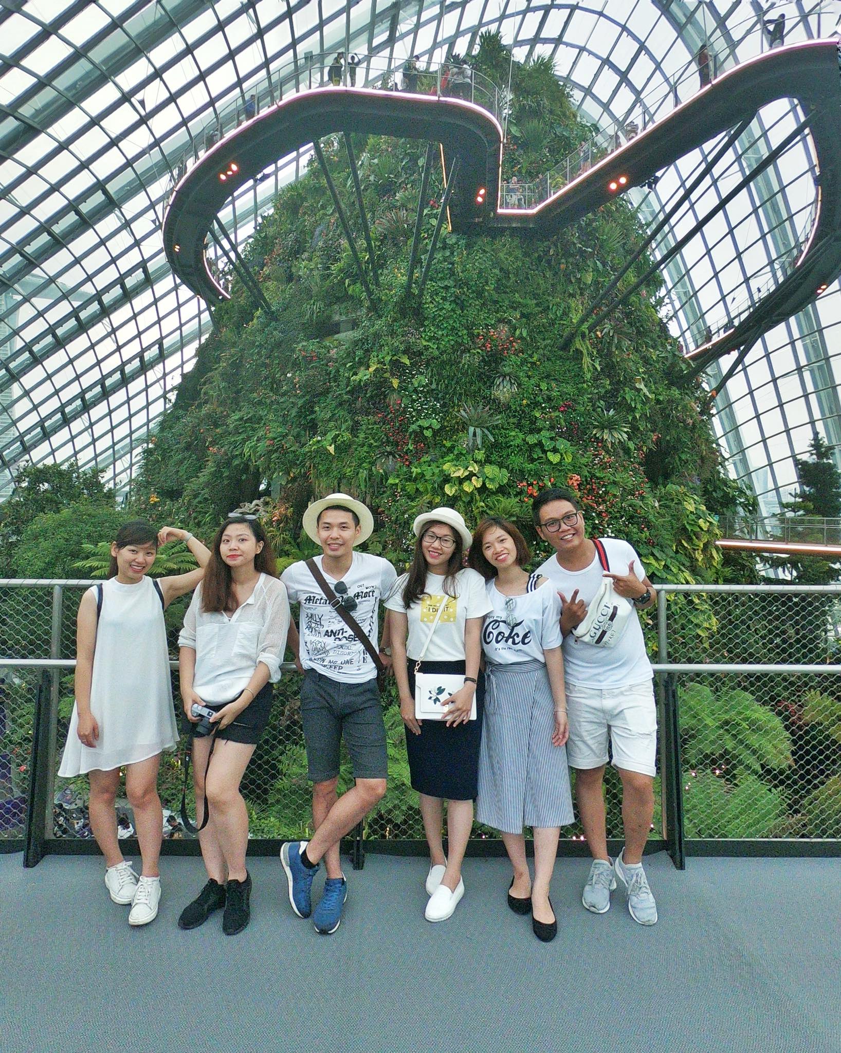 chụp hình tại cloud forest