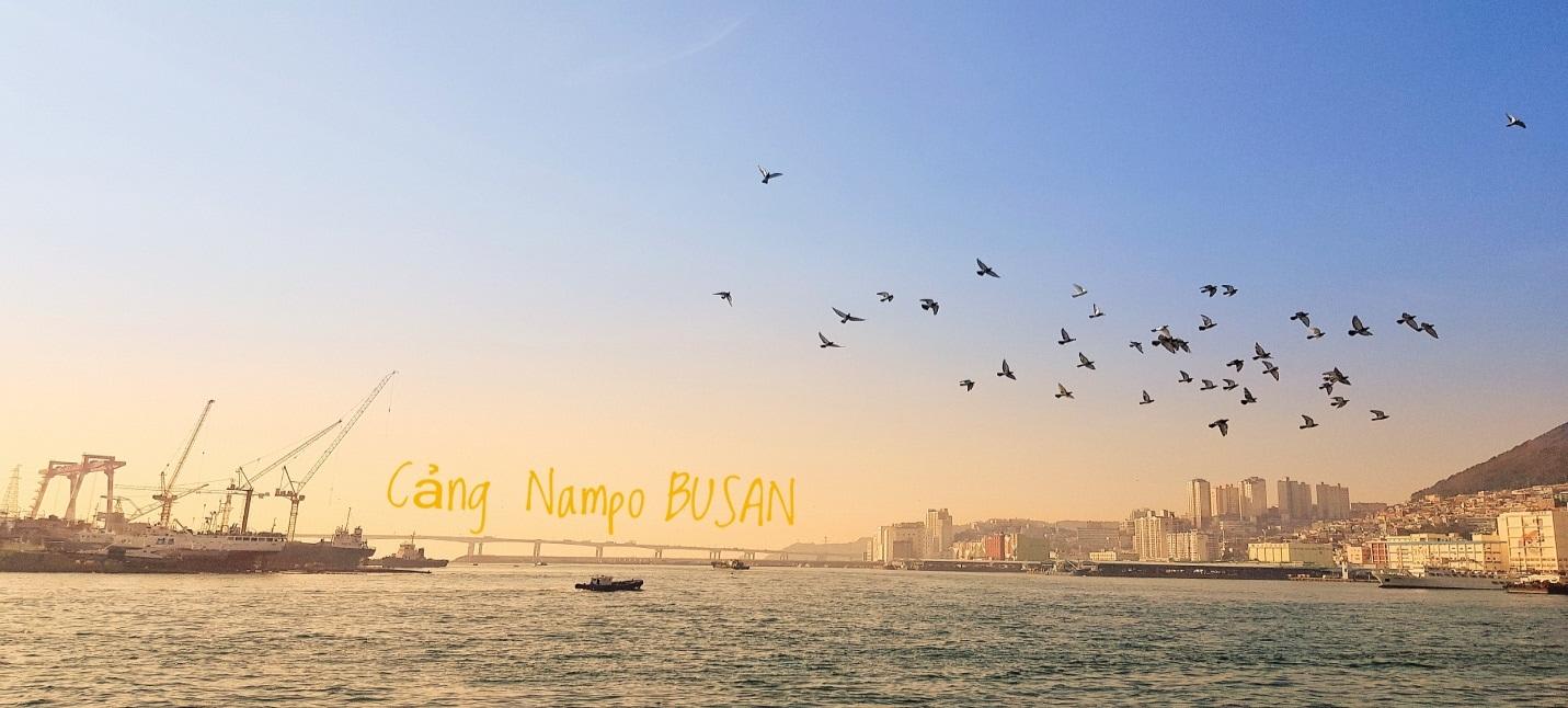 Chơi quên lối về tại Hàn Quốc 12 cảng nampo busan