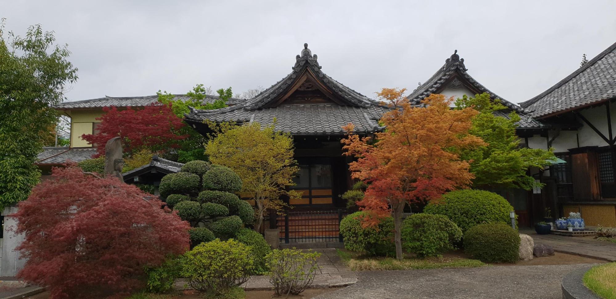 Một tuần mộng mơ ở Tokyo 3 nhà cổ và lá thu tại yanaka