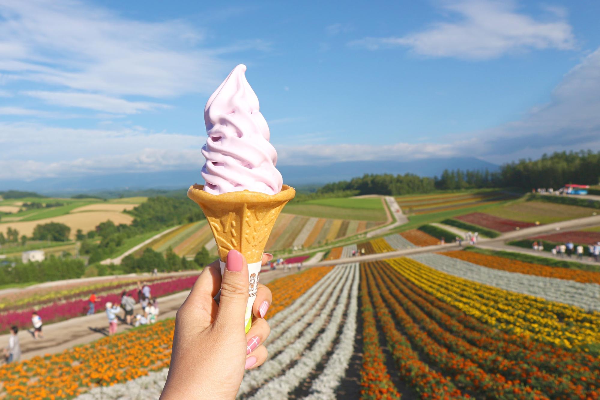 Mùa hè đẹp nhất Hokkaido, Nhật Bản 12 kem lavender