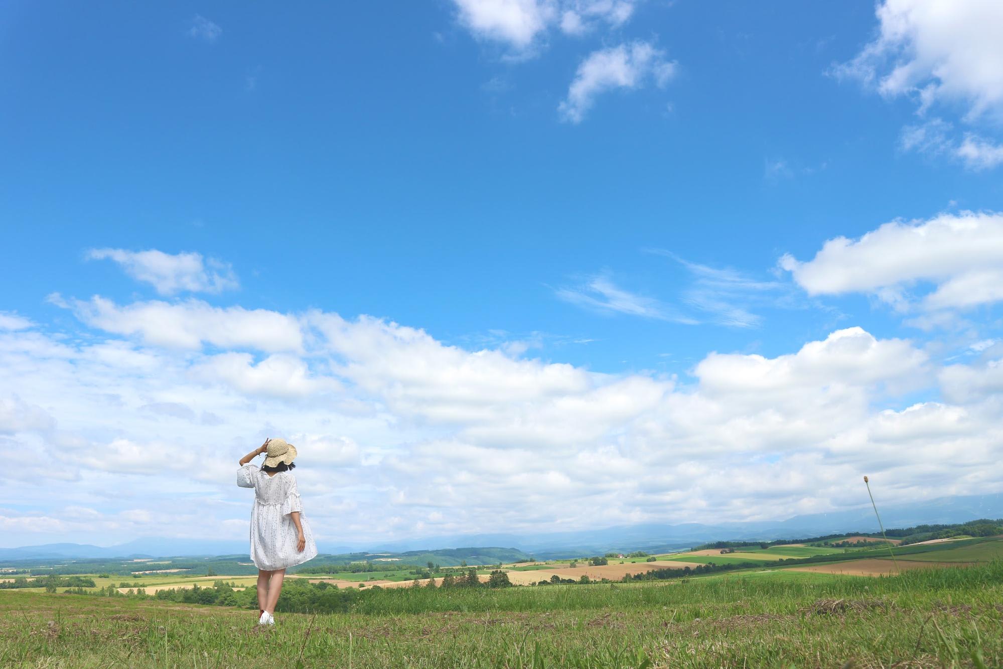 Mùa hè đẹp nhất Hokkaido, Nhật Bản 4 đồng cỏ tại hokkaido