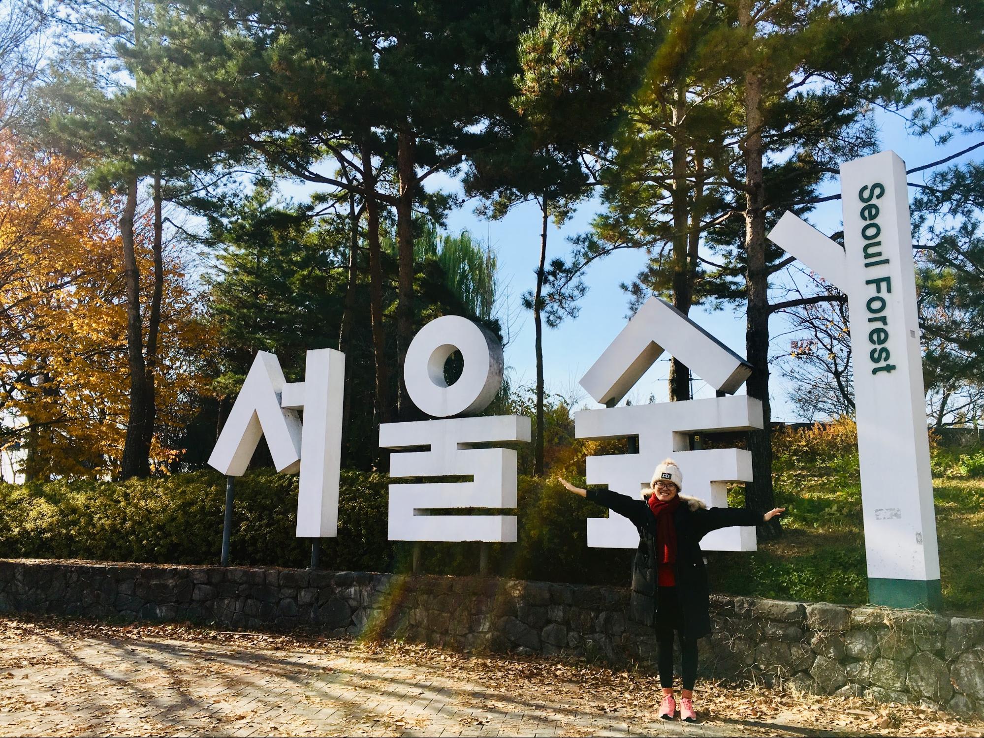 Một mình ở Seoul – tại sao không? 4 seoul forest park