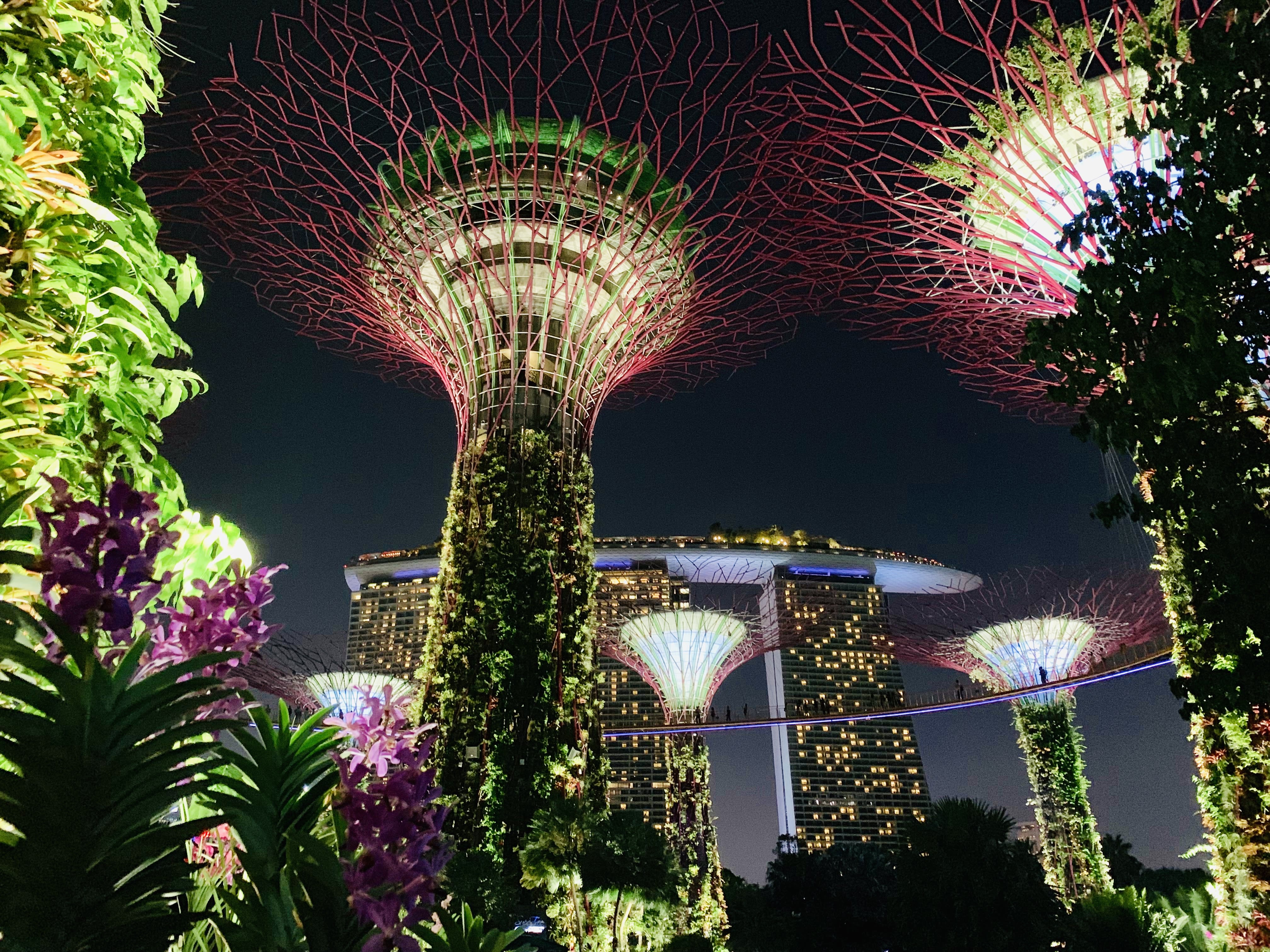 Gợi ý khám phá phượt Singapore cho team “cuồng” chân lần đầu du lịch tự túc 12 goi y kham pha tron singapore cho team cuong chan thich phuot1128