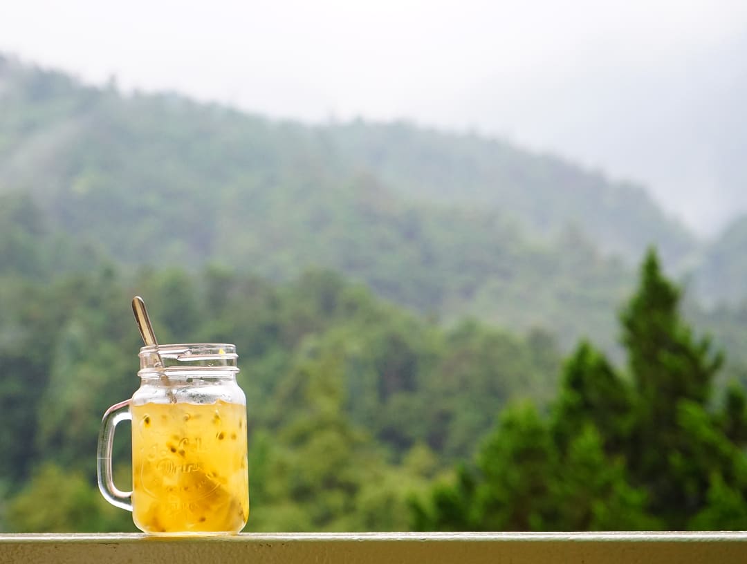 Aiyu Jelly drink in Alishan