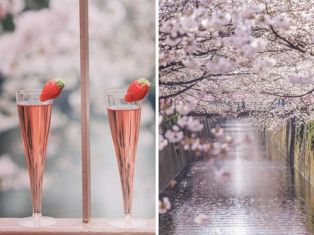 Meguro Cherry Blossom Wine