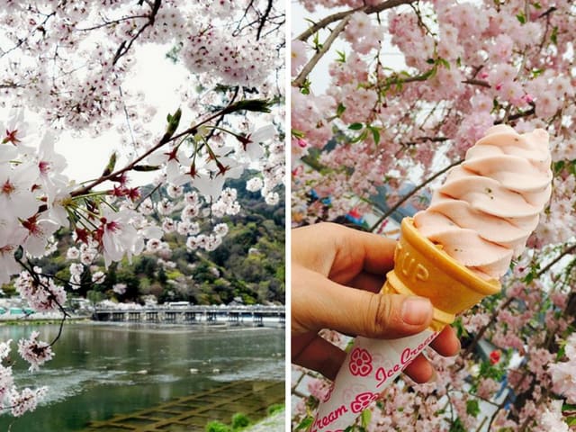 Arashimaya Cherry Blossom