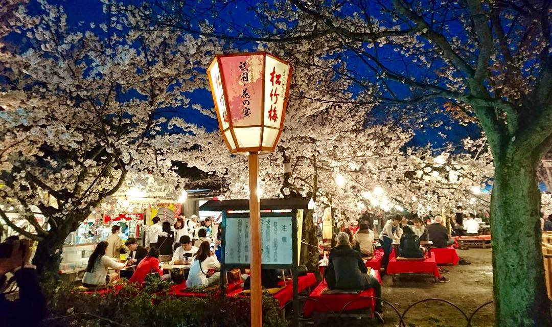 Maruyama park kyoto festival