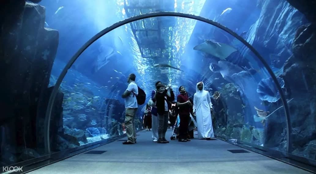 Dubai Aquarium