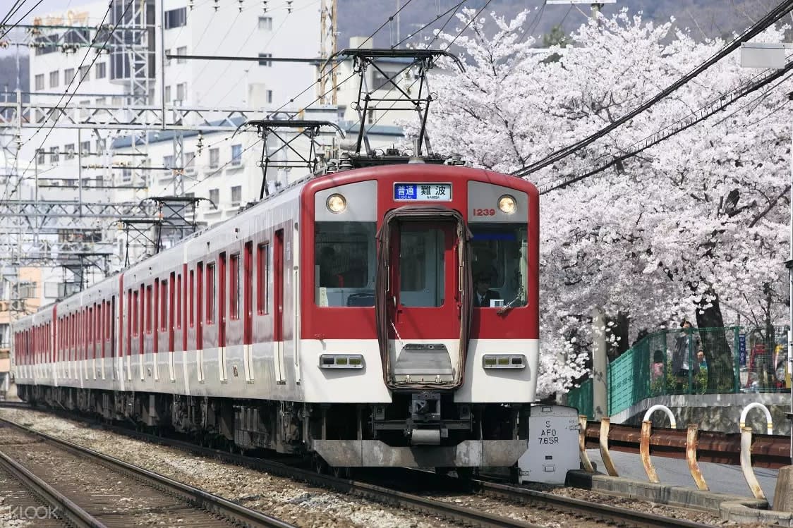 Kintetsu Rail Pass train