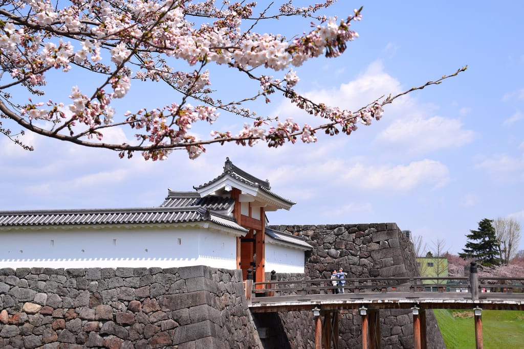 Cherry blossoms outside Yamagata castle