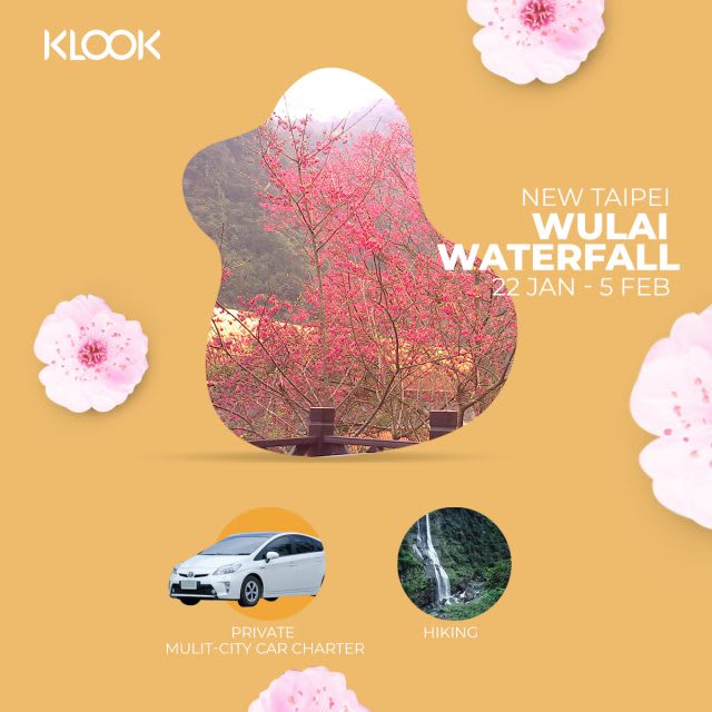 wulai cherry blossom