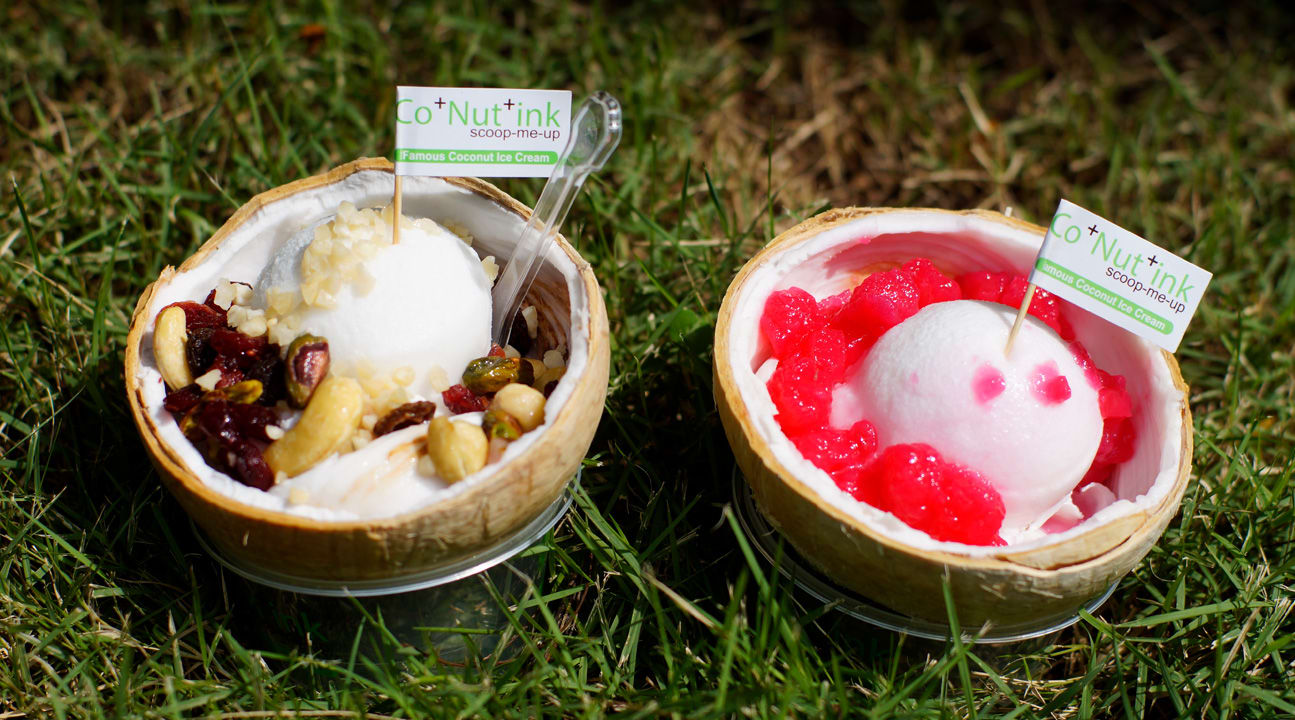 coconut ice cream singapore
