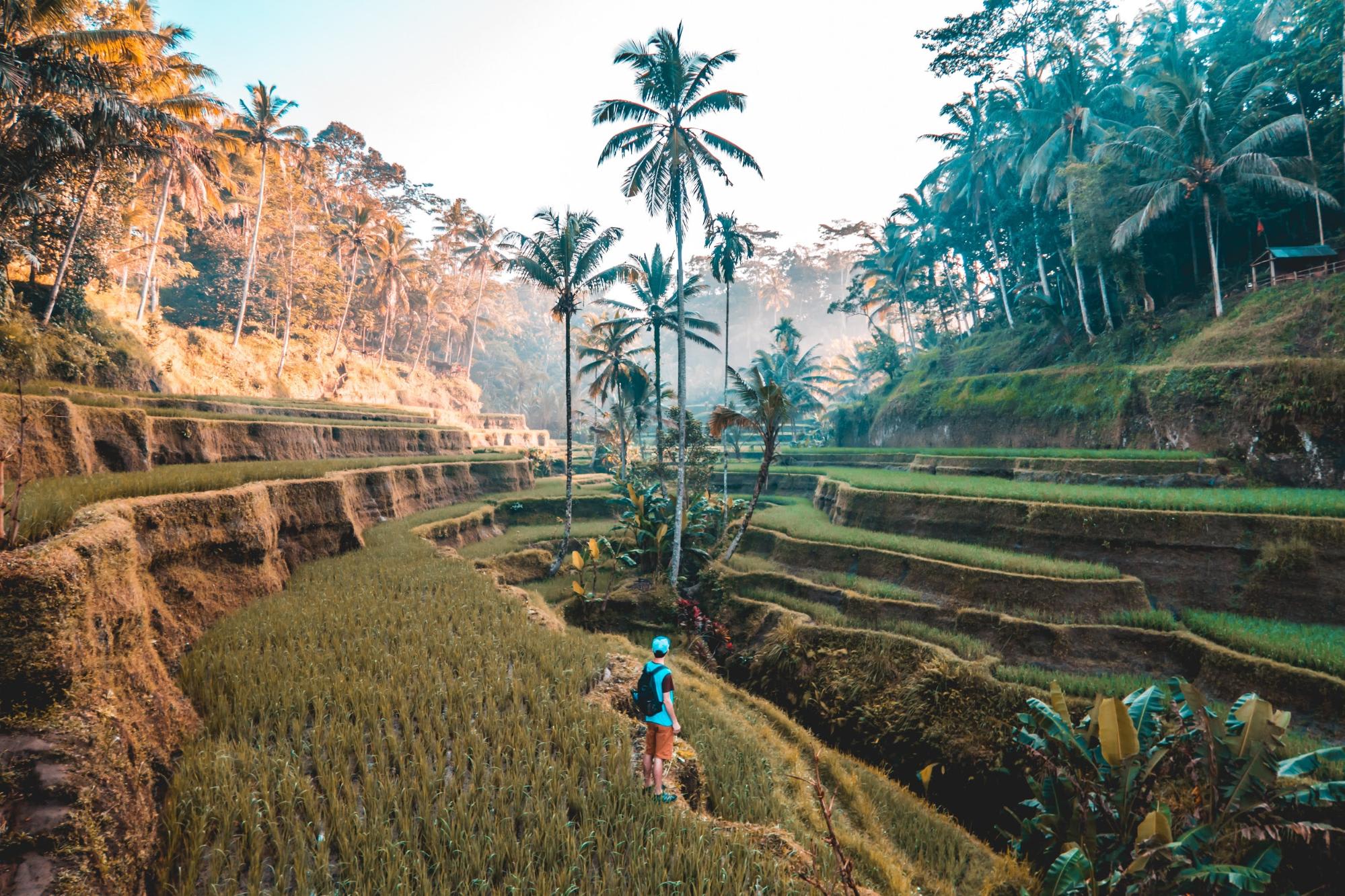 bali indonesia