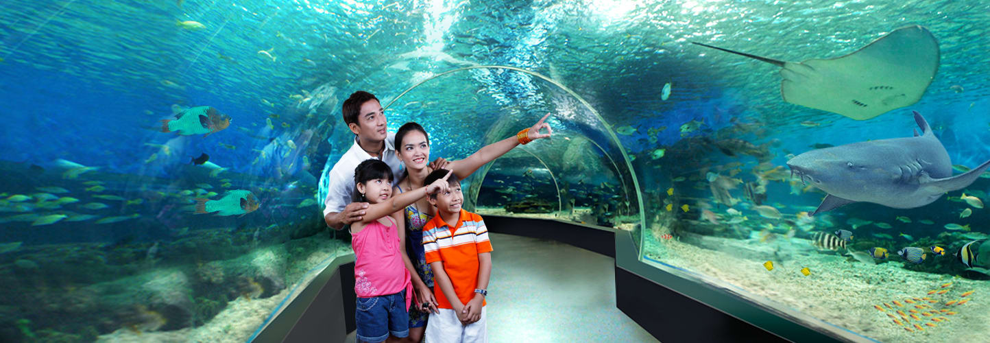 manila ocean park