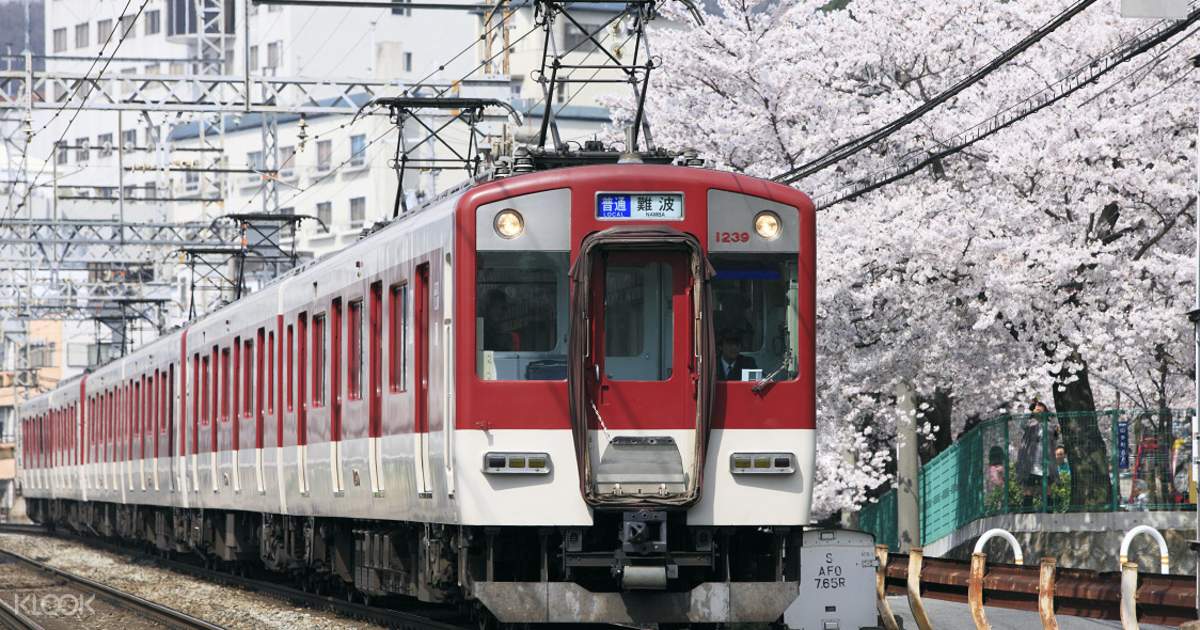 kintetsu rail pass