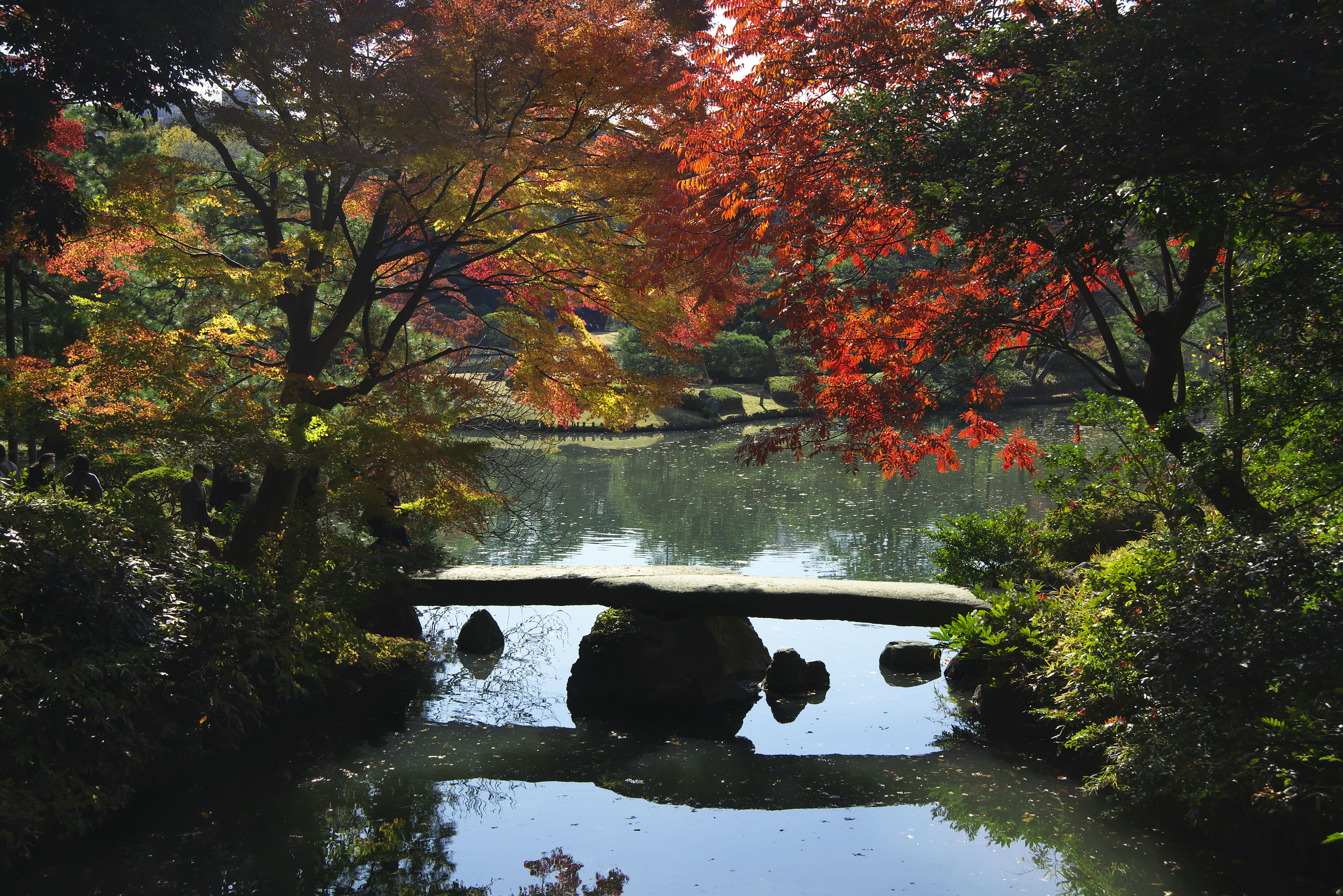 Fall For Japan All Over Again This Autumn At 12 Stunning Sightseeing ...