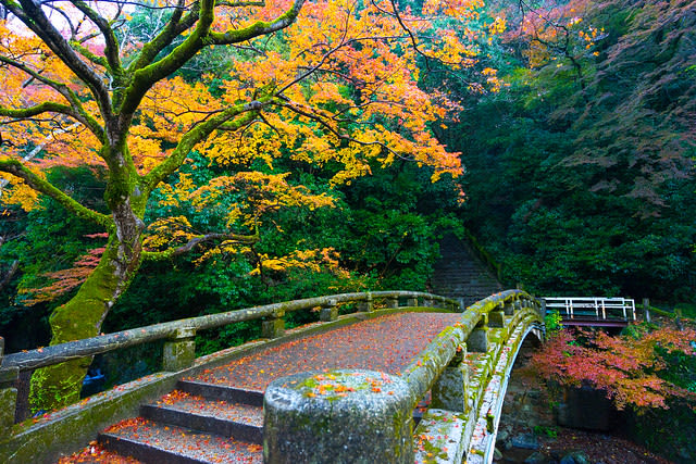 japan-autumn-minoo-park