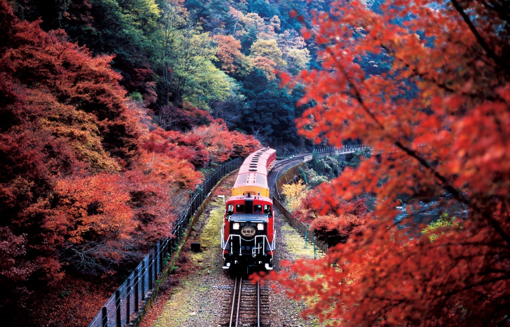 japan-autumn-sagano-romantic-train