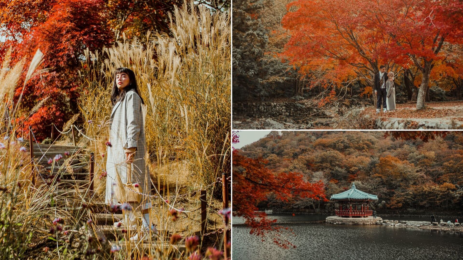 17 Photos That'll Convince You To Explore South Korea This Autumn