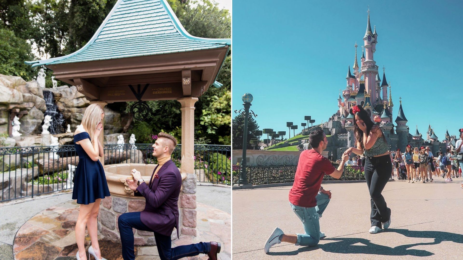 disneyland proposal