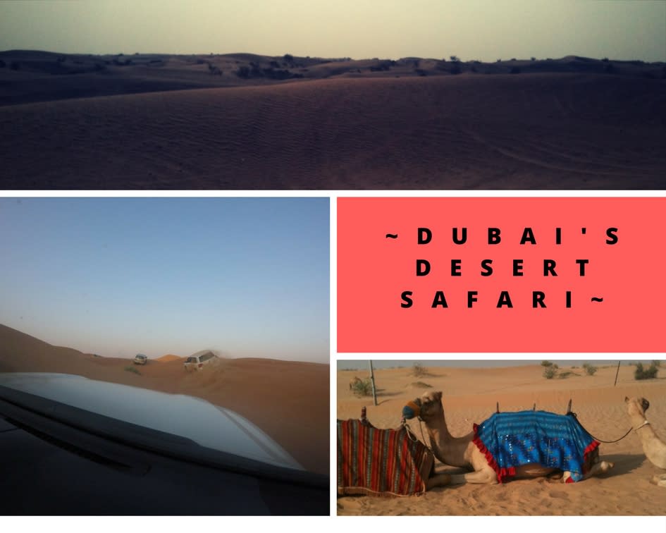 Dubai Desert Safari