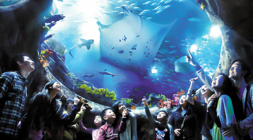 Ocean Park