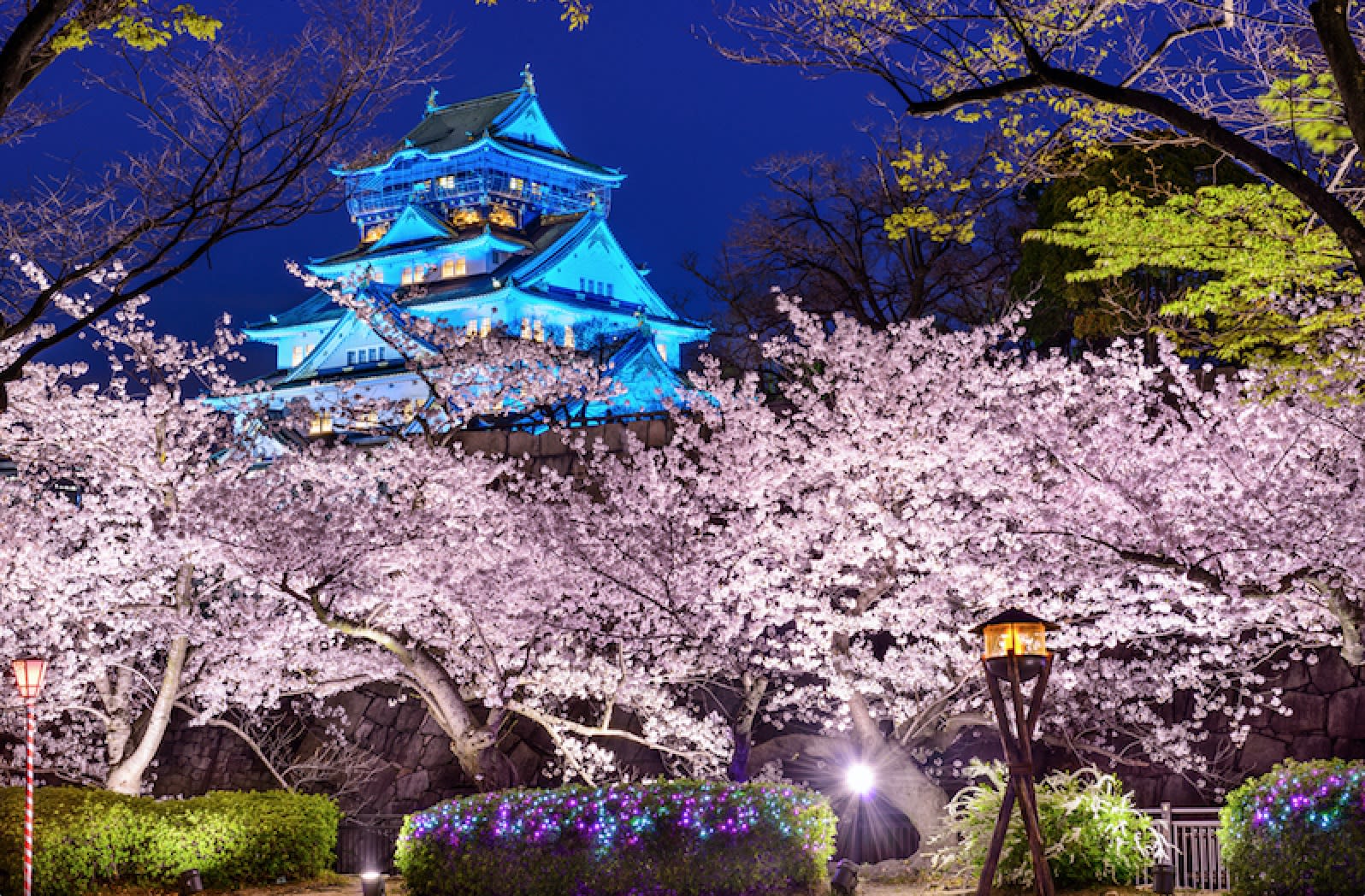 Where To Find Japan’s Best Cherry Blossom in 2016 - Klook Travel Blog