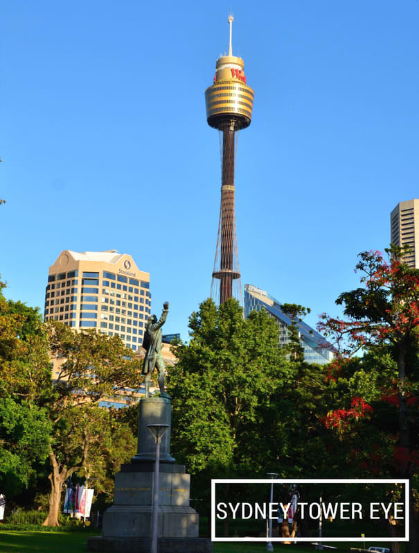 Sydney Tower Eye A First Timer's Guide to Sydney