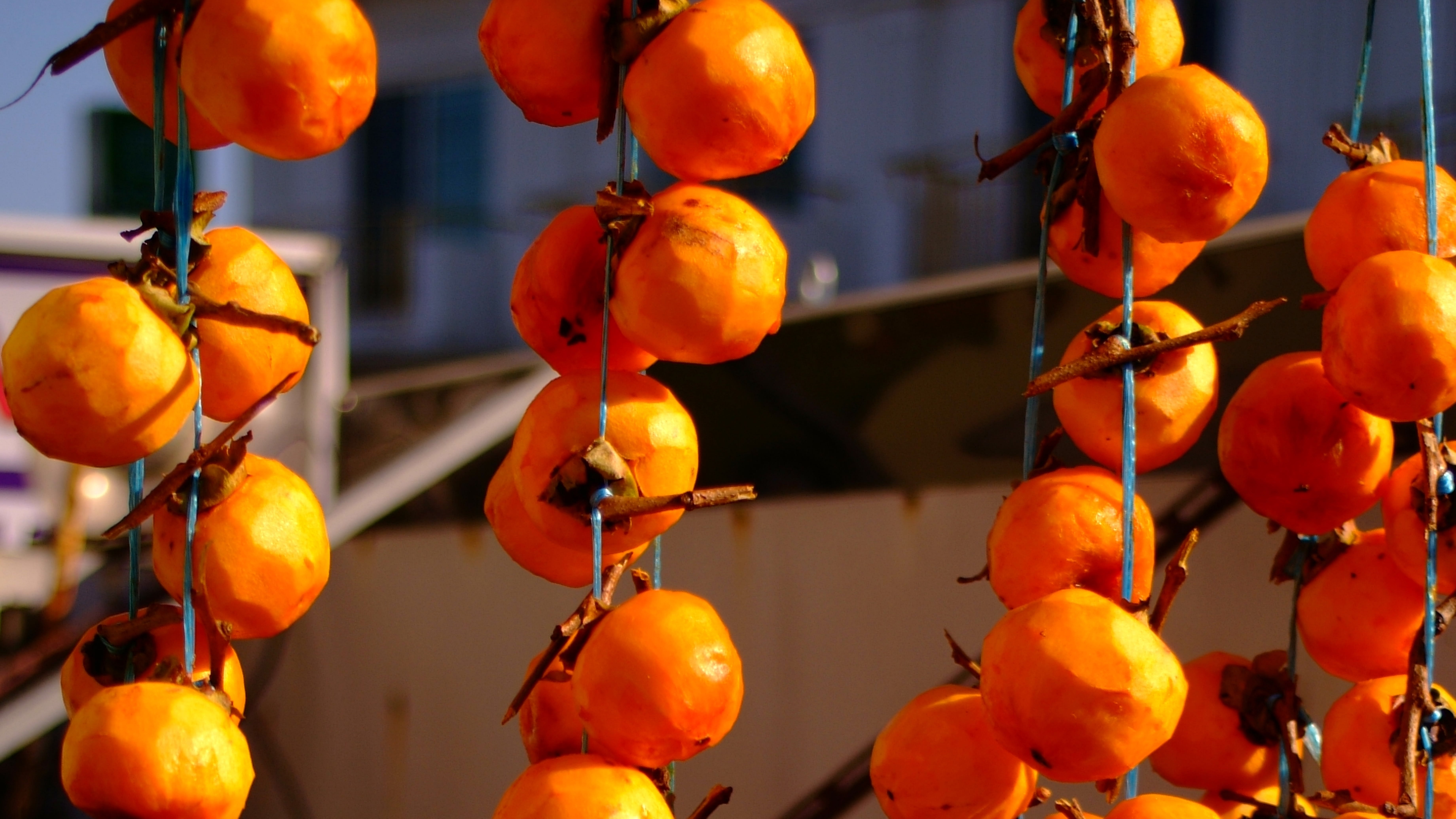 Persimmon Korea