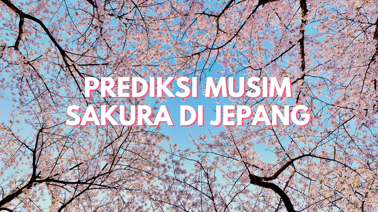 Ingin Foto Dengan Pemandangan Sakura Yang Indah Cari Tahu 18 Lokasi Instagramable Ini Klook Blog